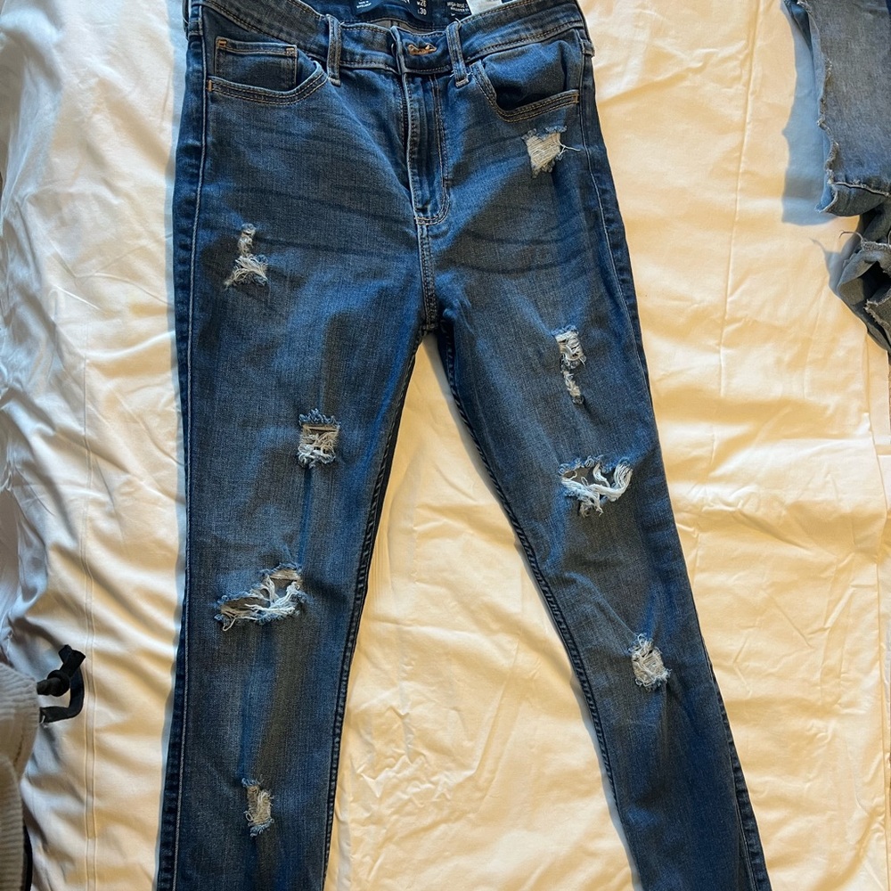 Hollister Jean .